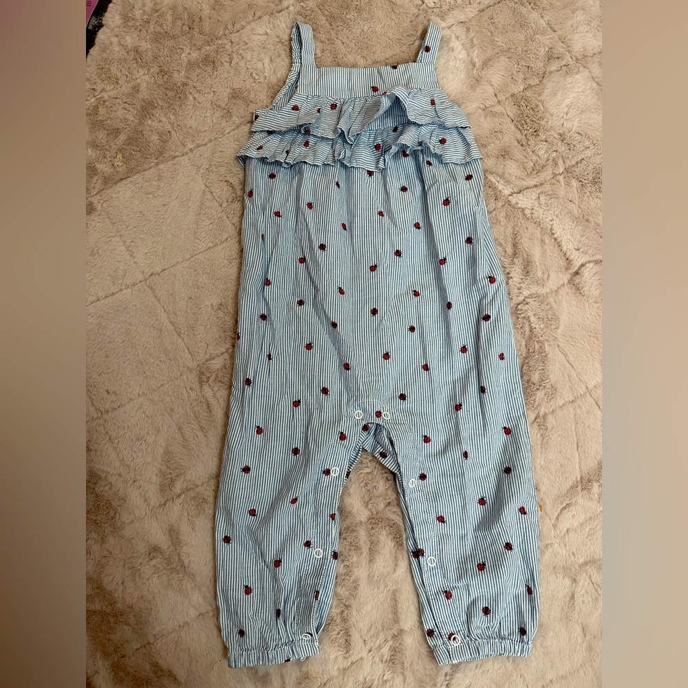 Lady bug romper